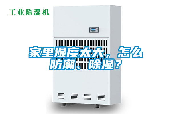 家里湿度太大，怎么防潮、除湿？