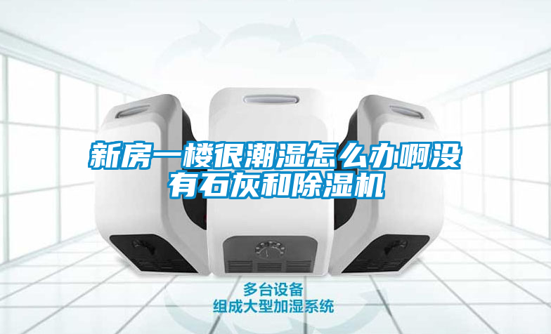 新房一楼很潮湿怎么办啊没有石灰和除湿机