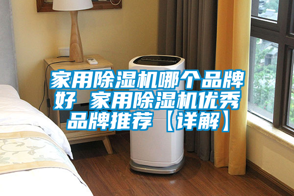 家用除湿机哪个品牌好 家用除湿机优秀品牌推荐【详解】