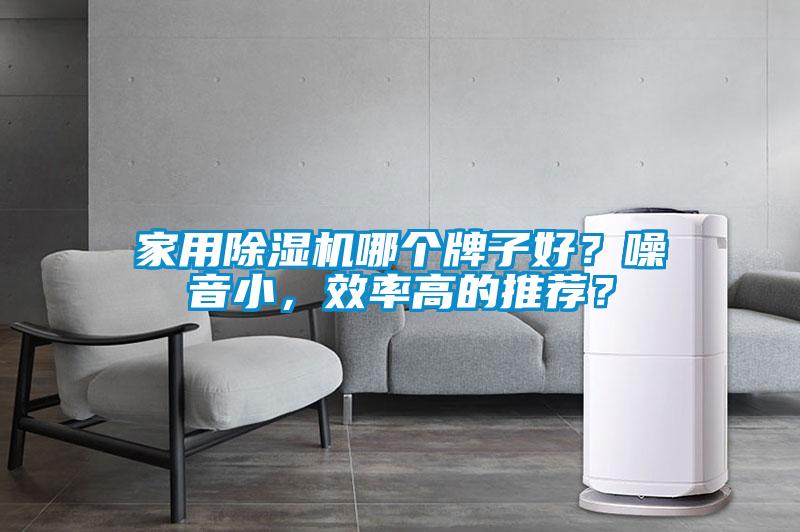 家用除湿机哪个牌子好？噪音小，效率高的推荐？