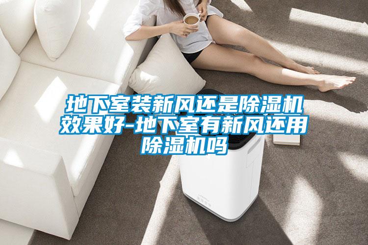地下室装新风还是除湿机效果好-地下室有新风还用除湿机吗