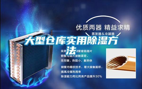 大型仓库实用除湿方法