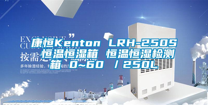 康恒Kenton LRH-250S 恒温恒湿箱 恒温恒湿检测箱 0~60℃／250L
