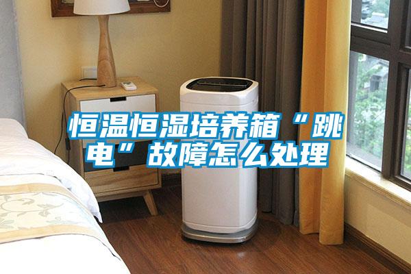 恒温恒湿培养箱“跳电”故障怎么处理
