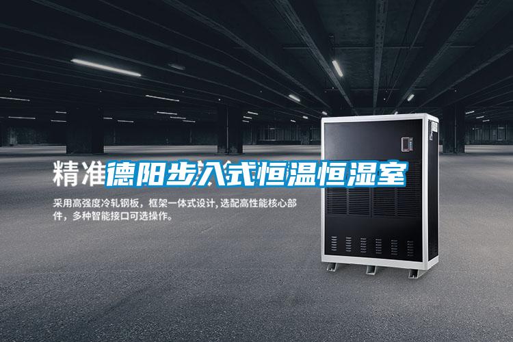德阳步入式恒温恒湿室