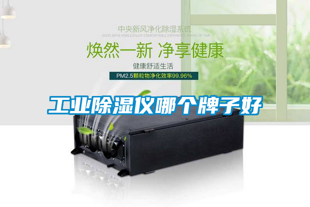工业除湿仪哪个牌子好