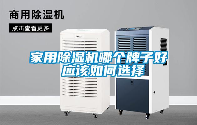 家用除湿机哪个牌子好 应该如何选择