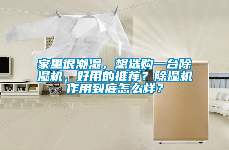 家里很潮湿，想选购一台除湿机，好用的推荐？除湿机作用到底怎么样？
