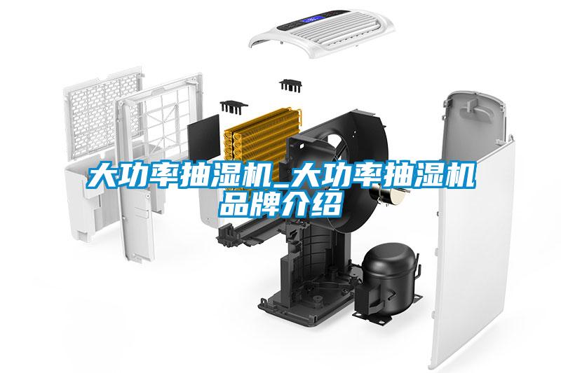 大功率抽湿机_大功率抽湿机品牌介绍