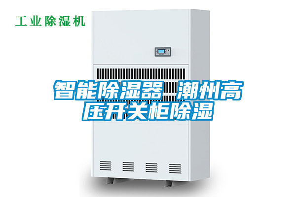 智能除湿器 潮州高压开关柜除湿
