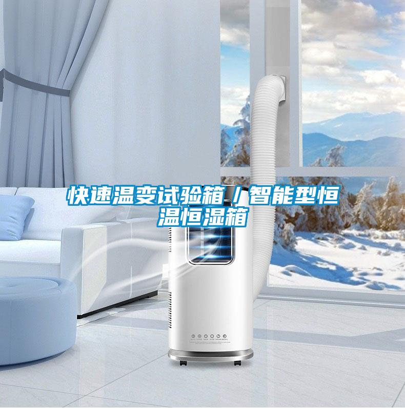 快速温变试验箱／智能型恒温恒湿箱