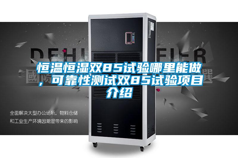 恒温恒湿双85试验哪里能做，可靠性测试双85试验项目介绍