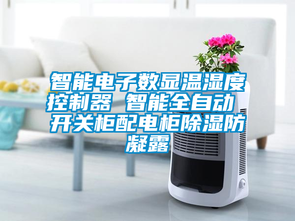 智能电子数显温湿度控制器 智能全自动 开关柜配电柜除湿防凝露