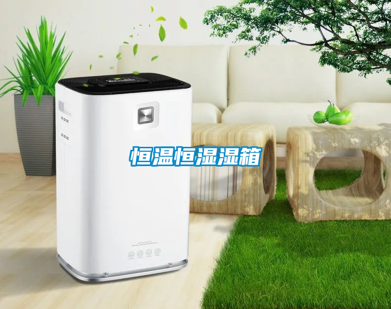 恒温恒湿湿箱