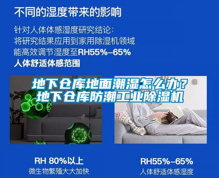地下仓库地面潮湿怎么办？地下仓库防潮工业除湿机