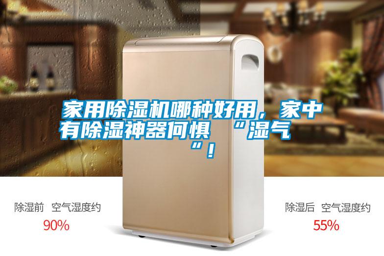 家用除湿机哪种好用，家中有除湿神器何惧 “湿气 “！