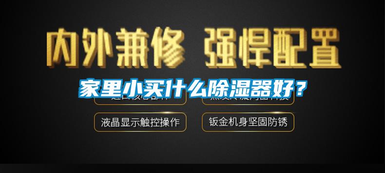 家里小买什么除湿器好？