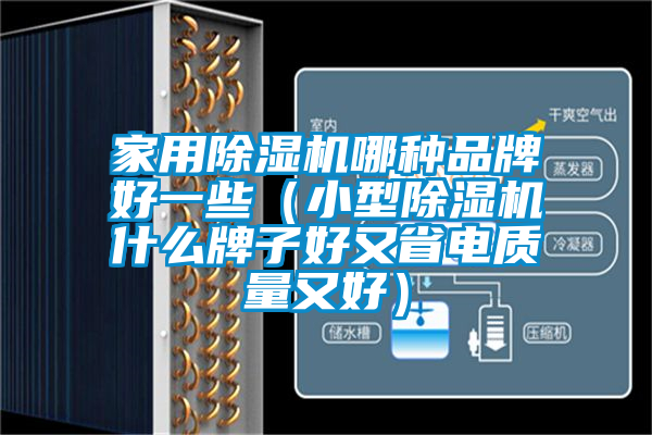 家用除湿机哪种品牌好一些（小型除湿机什么牌子好又省电质量又好）