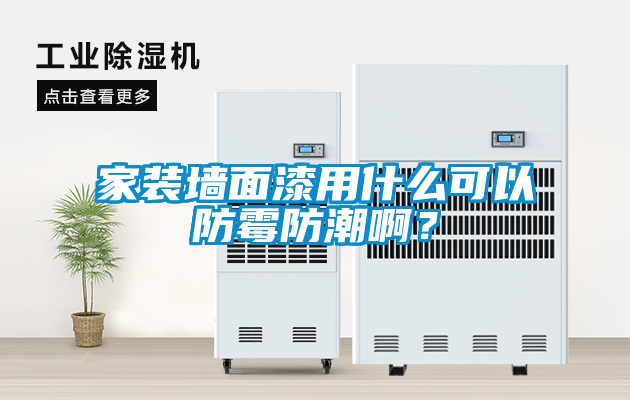 家装墙面漆用什么可以防霉防潮啊？