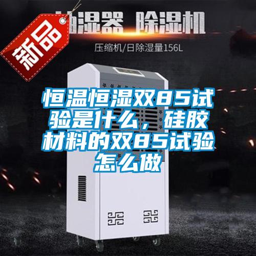 恒温恒湿双85试验是什么，硅胶材料的双85试验怎么做