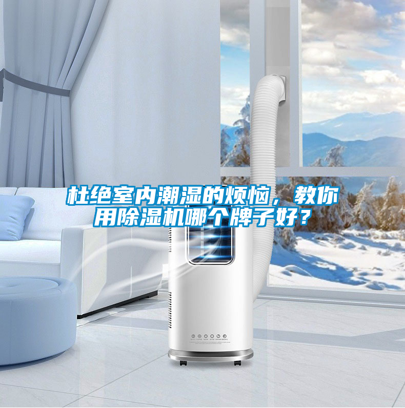 杜绝室内潮湿的烦恼，教你用除湿机哪个牌子好？