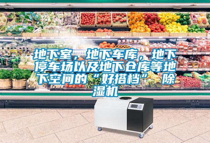 地下室，地下车库，地下停车场以及地下仓库等地下空间的“好搭档” 除湿机