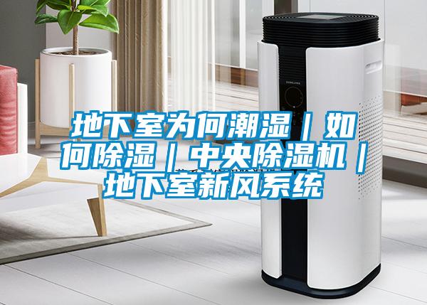 地下室为何潮湿｜如何除湿｜中央除湿机｜地下室新风系统