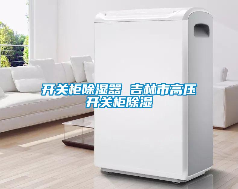 开关柜除湿器 吉林市高压开关柜除湿