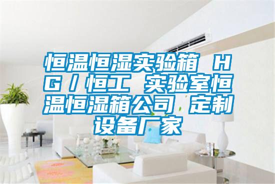 恒温恒湿实验箱 HG／恒工 实验室恒温恒湿箱公司 定制设备厂家