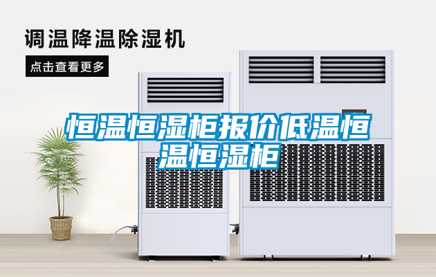 恒温恒湿柜报价低温恒温恒湿柜