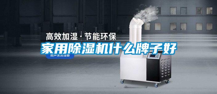 家用除湿机什么牌子好