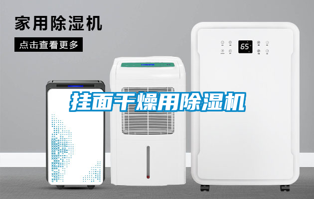 挂面干燥用除湿机