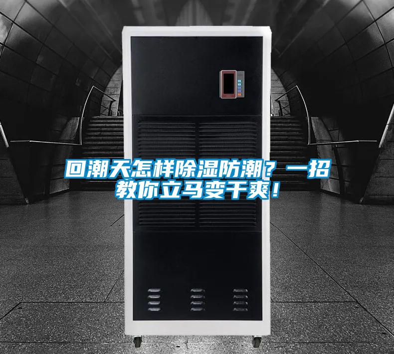 回潮天怎样除湿防潮？一招教你立马变干爽！