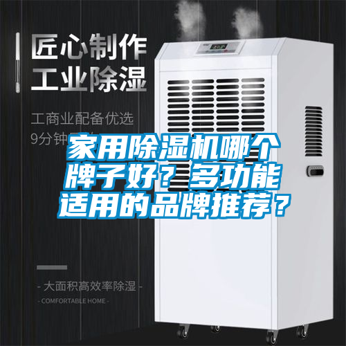 家用除湿机哪个牌子好？多功能适用的品牌推荐？