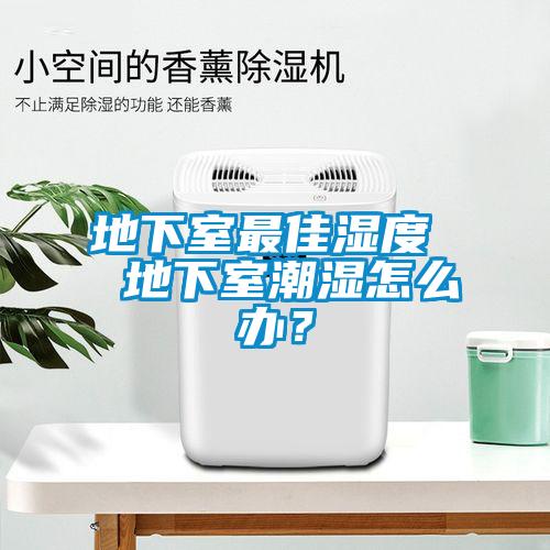 地下室最佳湿度  地下室潮湿怎么办？