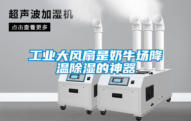 工业大风扇是奶牛场降温除湿的神器