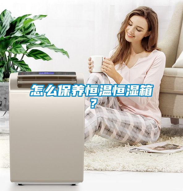 怎么保养恒温恒湿箱？
