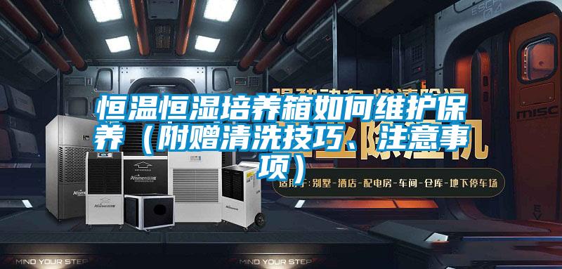 恒温恒湿培养箱如何维护保养（附赠清洗技巧、注意事项）