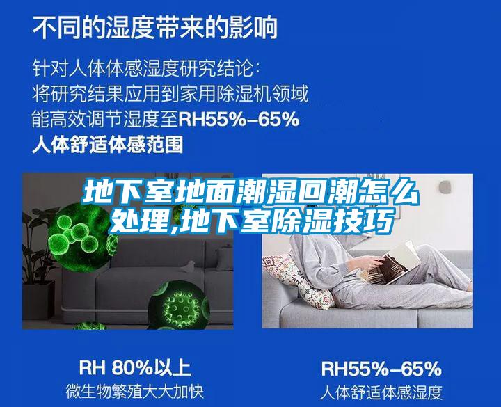 地下室地面潮湿回潮怎么处理,地下室除湿技巧