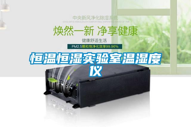 恒温恒湿实验室温湿度仪