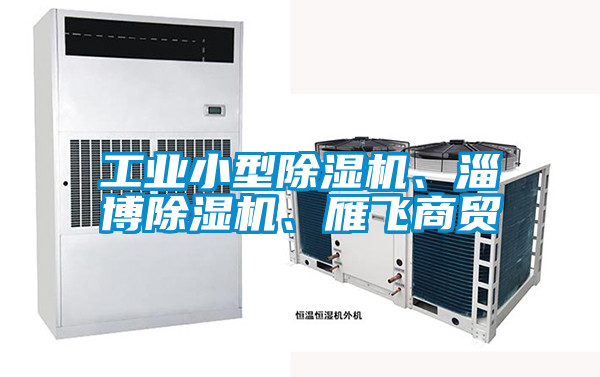 工业小型除湿机、淄博除湿机、雁飞商贸