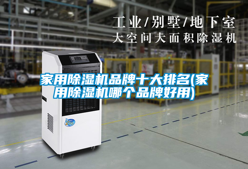 家用除湿机品牌十大排名(家用除湿机哪个品牌好用)