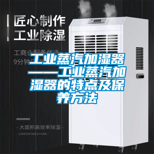 工业蒸汽加湿器——工业蒸汽加湿器的特点及保养方法