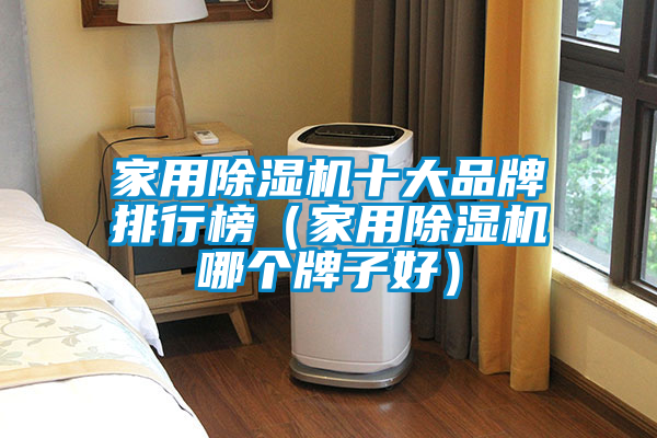 家用除湿机十大品牌排行榜（家用除湿机哪个牌子好）