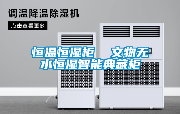 恒温恒湿柜  文物无水恒湿智能典藏柜