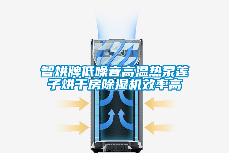 智烘牌低噪音高温热泵莲子烘干房除湿机效率高
