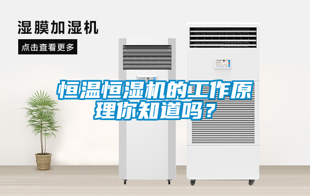 恒温恒湿机的工作原理你知道吗？