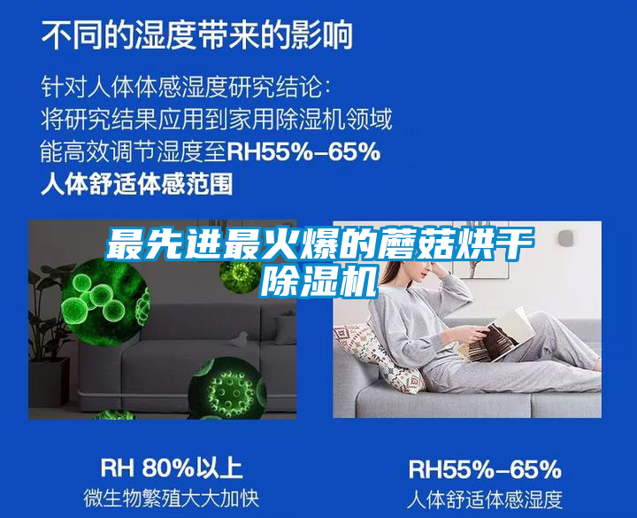 最先进最火爆的蘑菇烘干除湿机