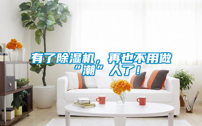 有了除湿机，再也不用做“潮”人了！