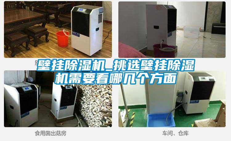 壁挂除湿机_挑选壁挂除湿机需要看哪几个方面